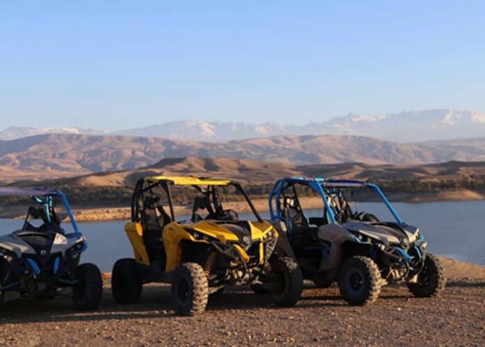 Buggy