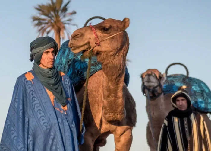 Camel Riding
