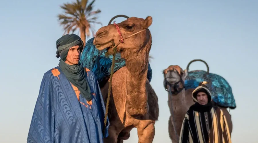 Camel Riding