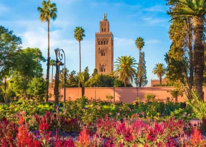 Full-Day Marrakesh