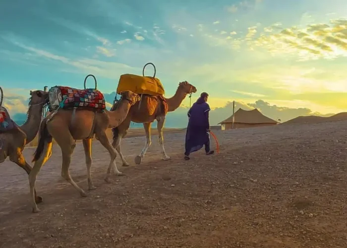 Camel ride at agafay