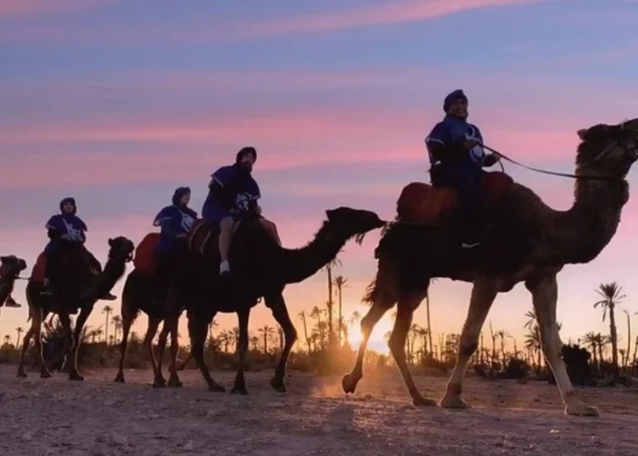 Camel Trekking