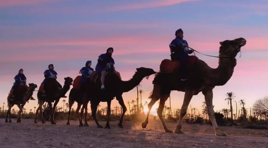 Camel Trekking