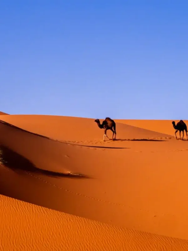 Moroccan Desert