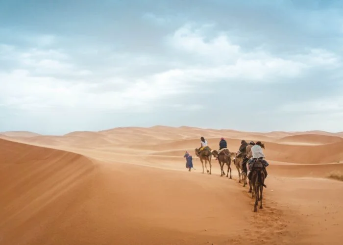 Moroccan Desert